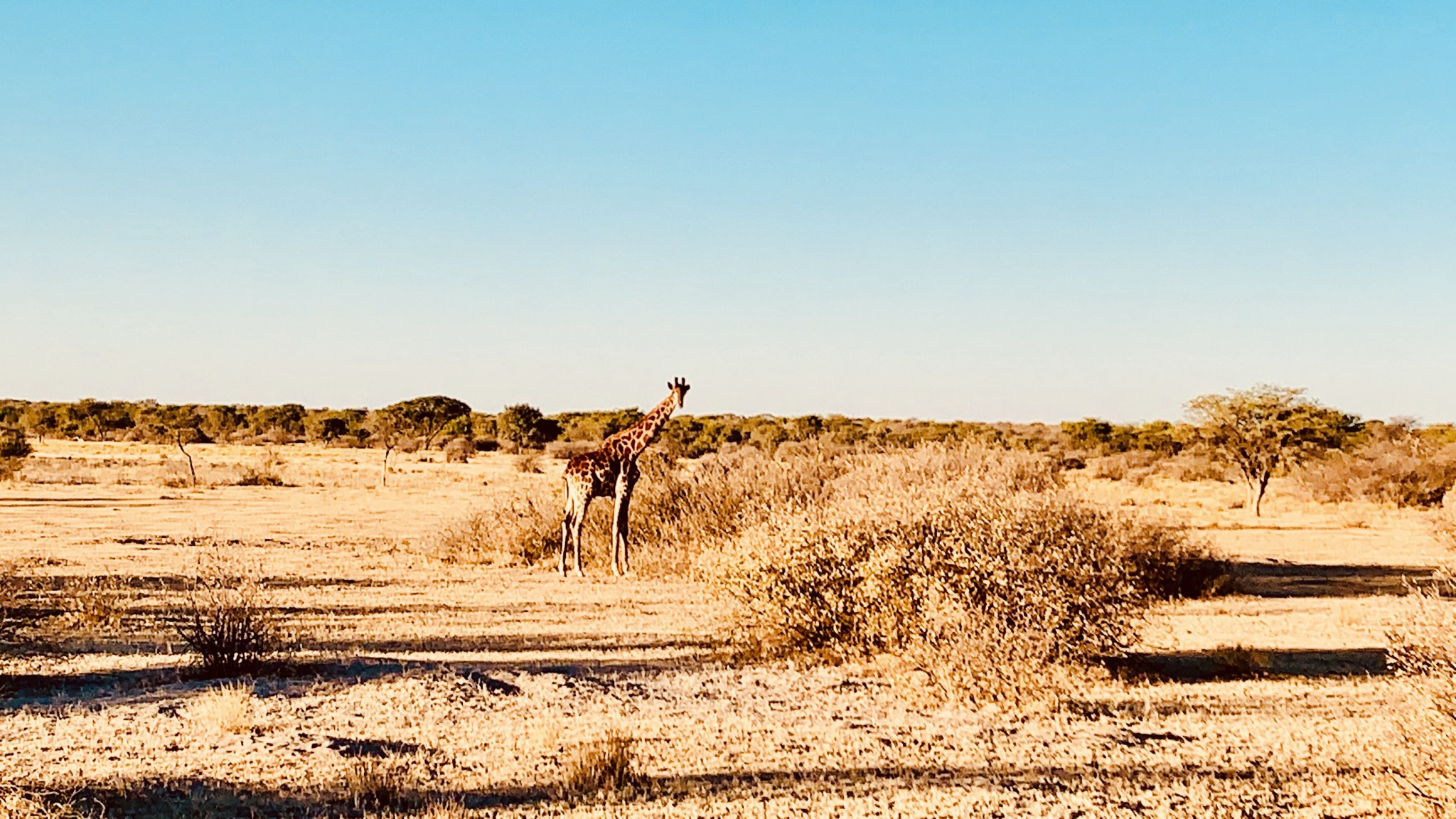 Botswana