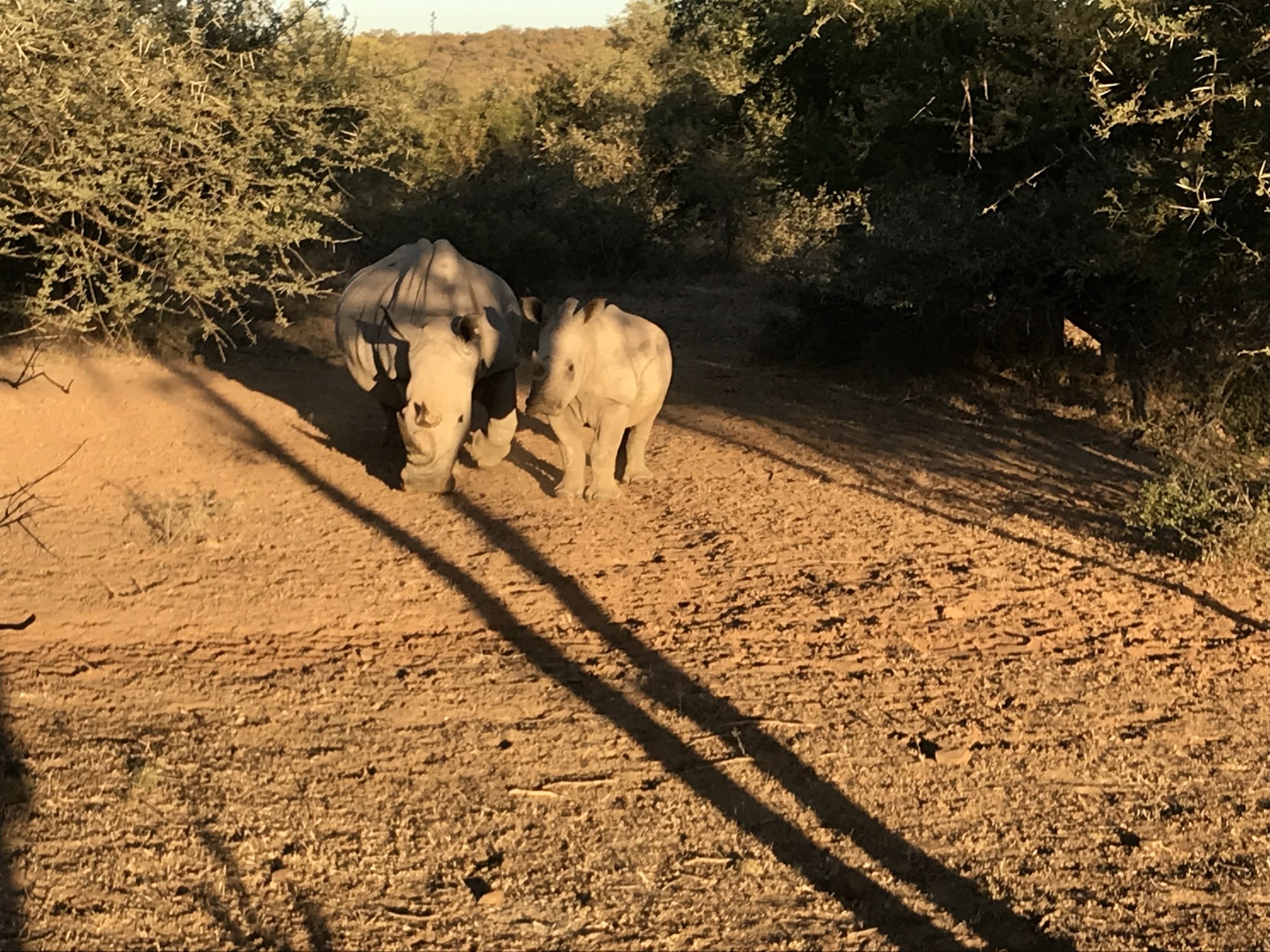 Botswana