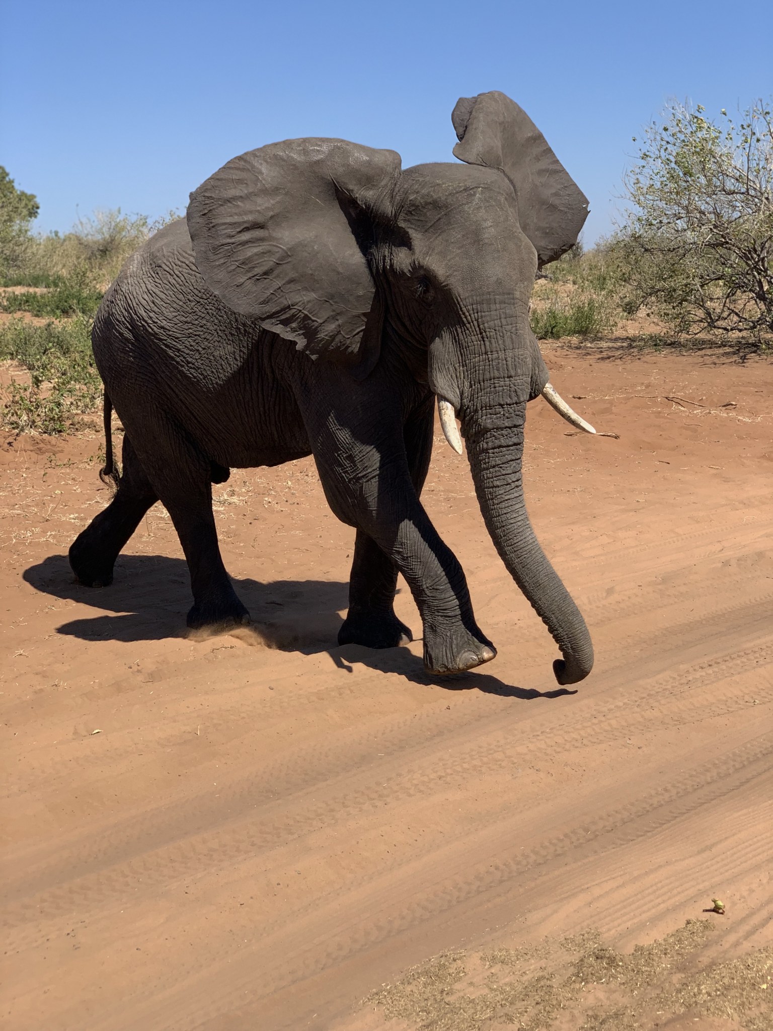 Botswana