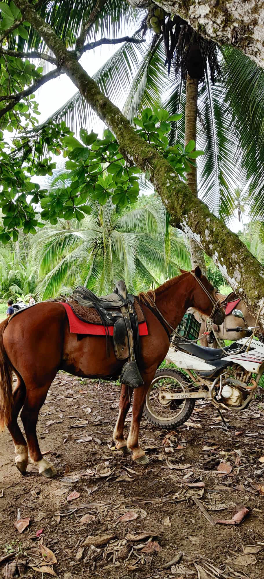 Costa Rica