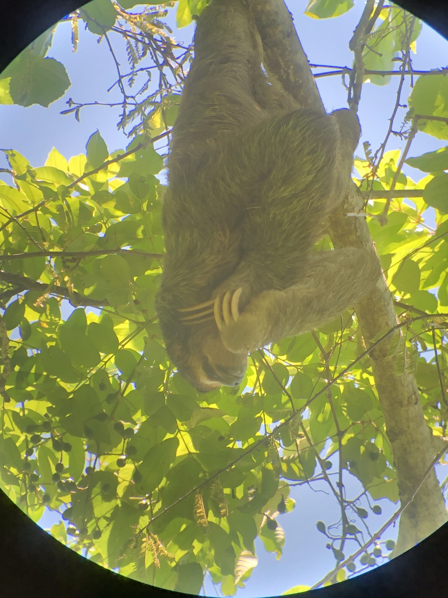 Costa Rica