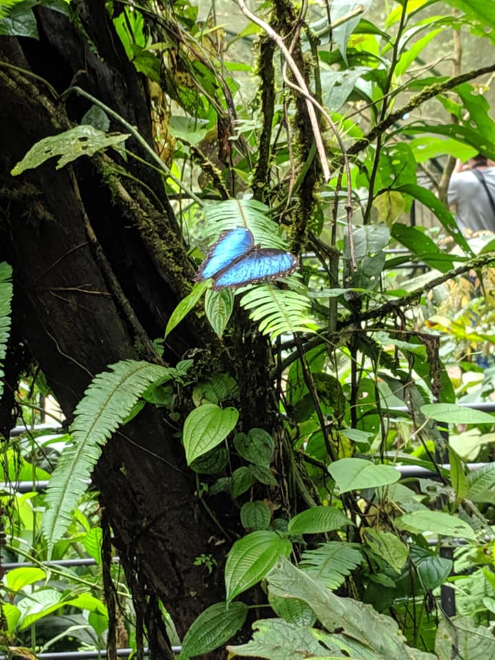 Costa Rica