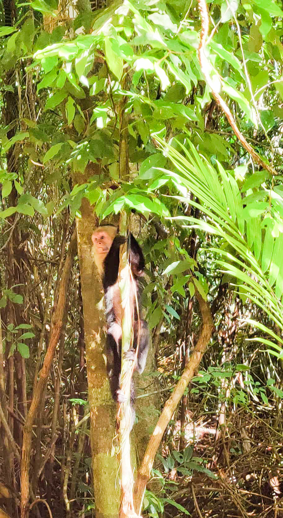 Costa Rica
