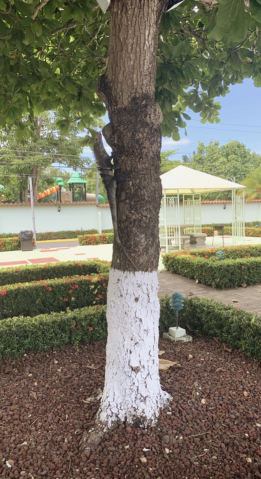 Costa Rica