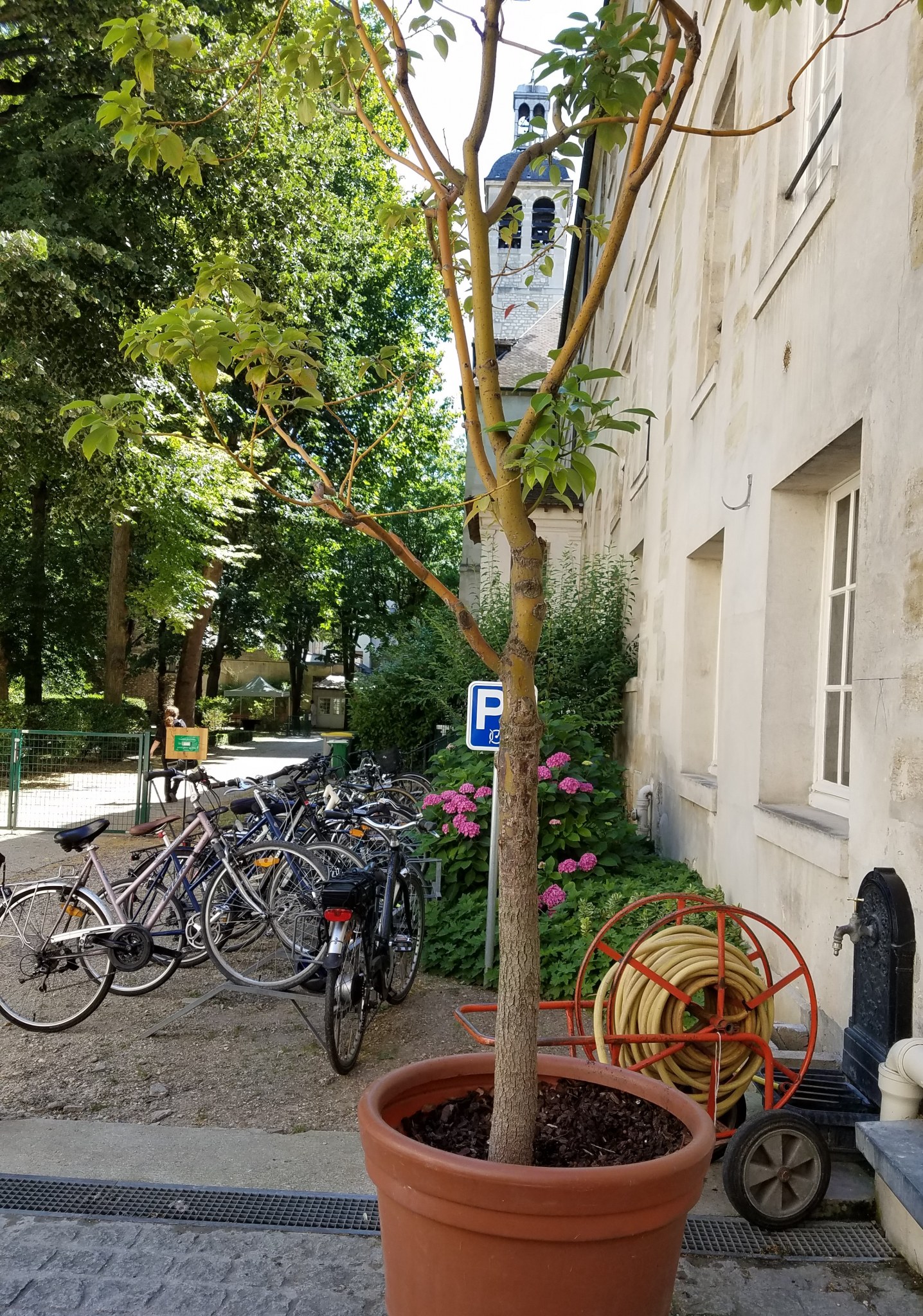 France
