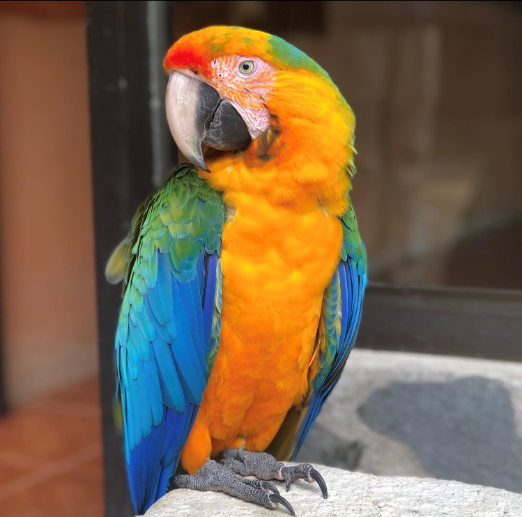 Costa Rica