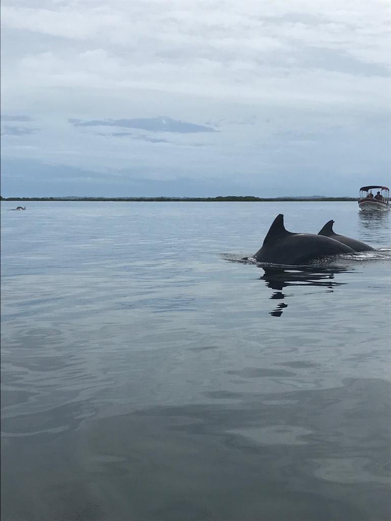 Costa Rica