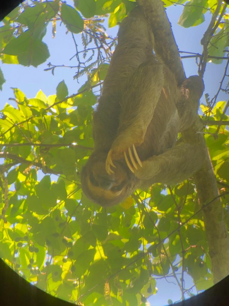 Costa Rica