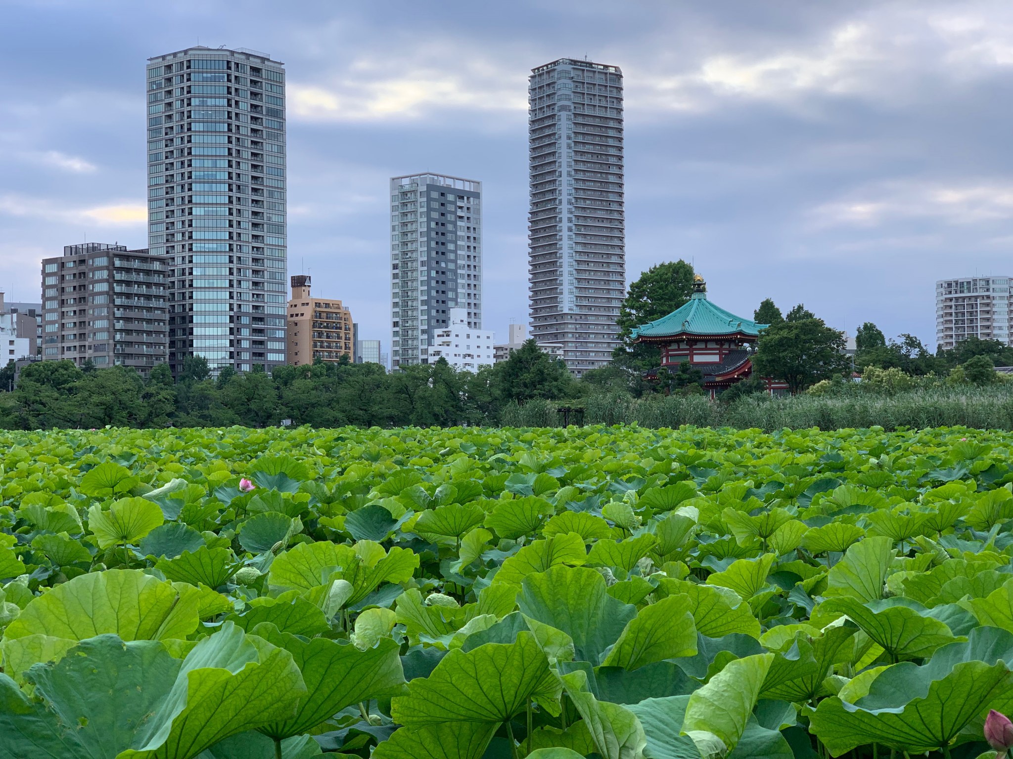 Japan