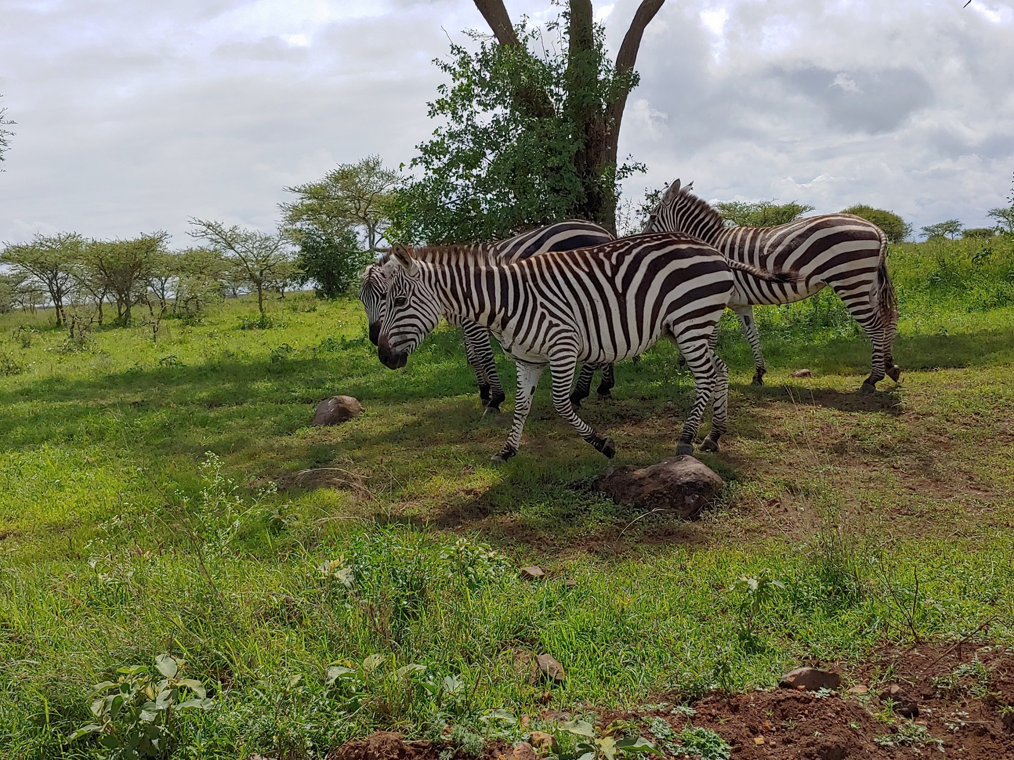 Kenya
