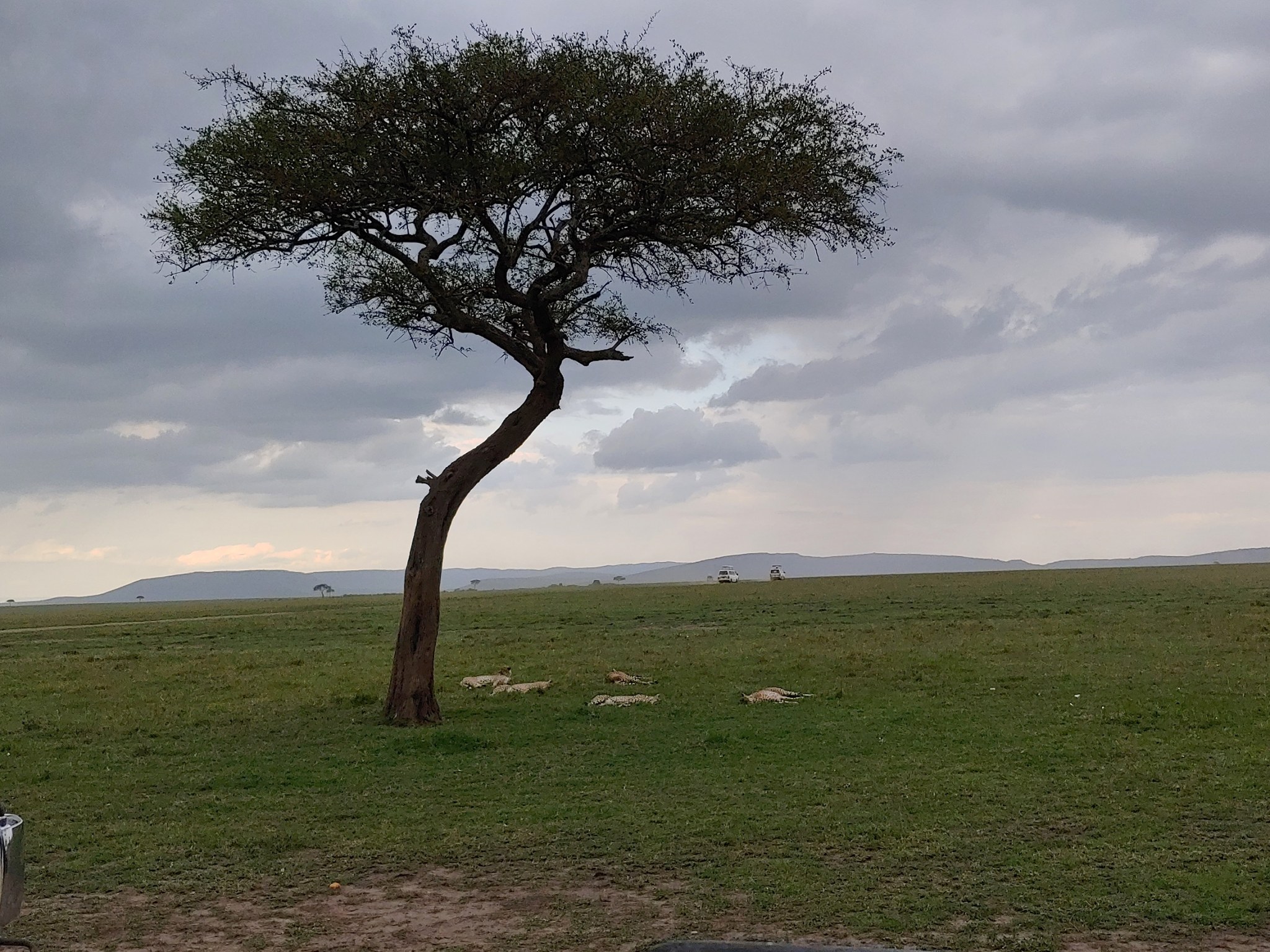 Kenya