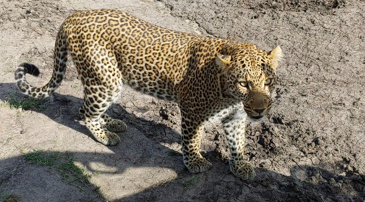 Kenya
