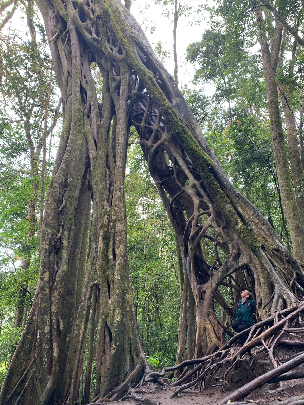 Costa Rica_Mexico