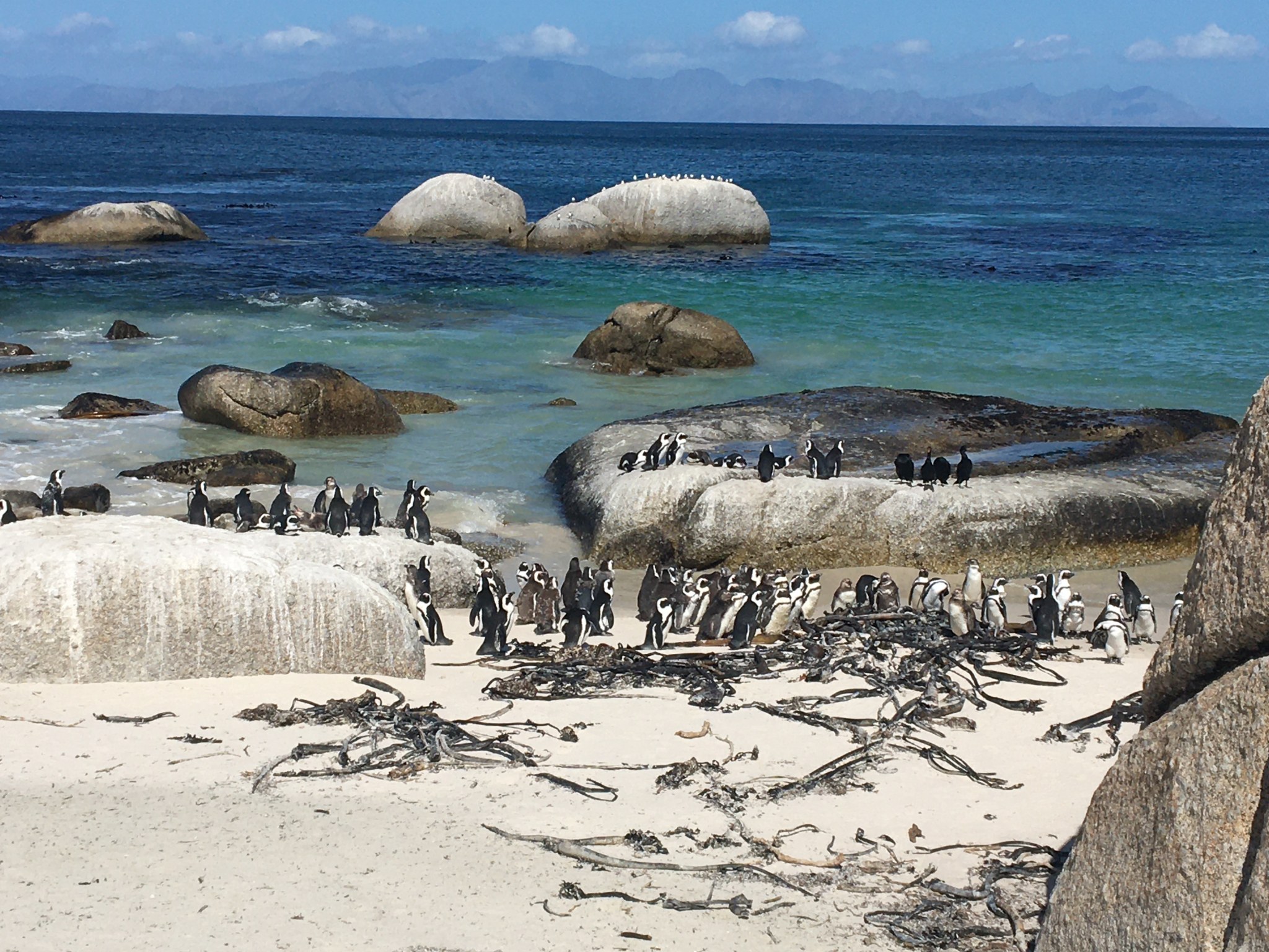 South Africa