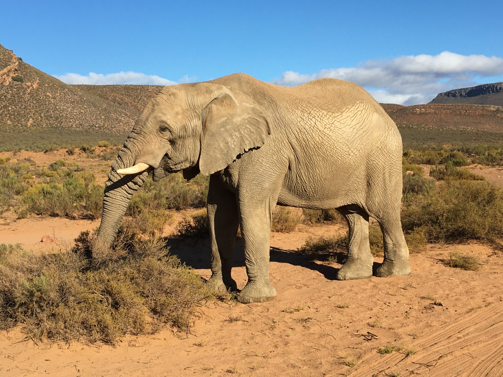 South Africa