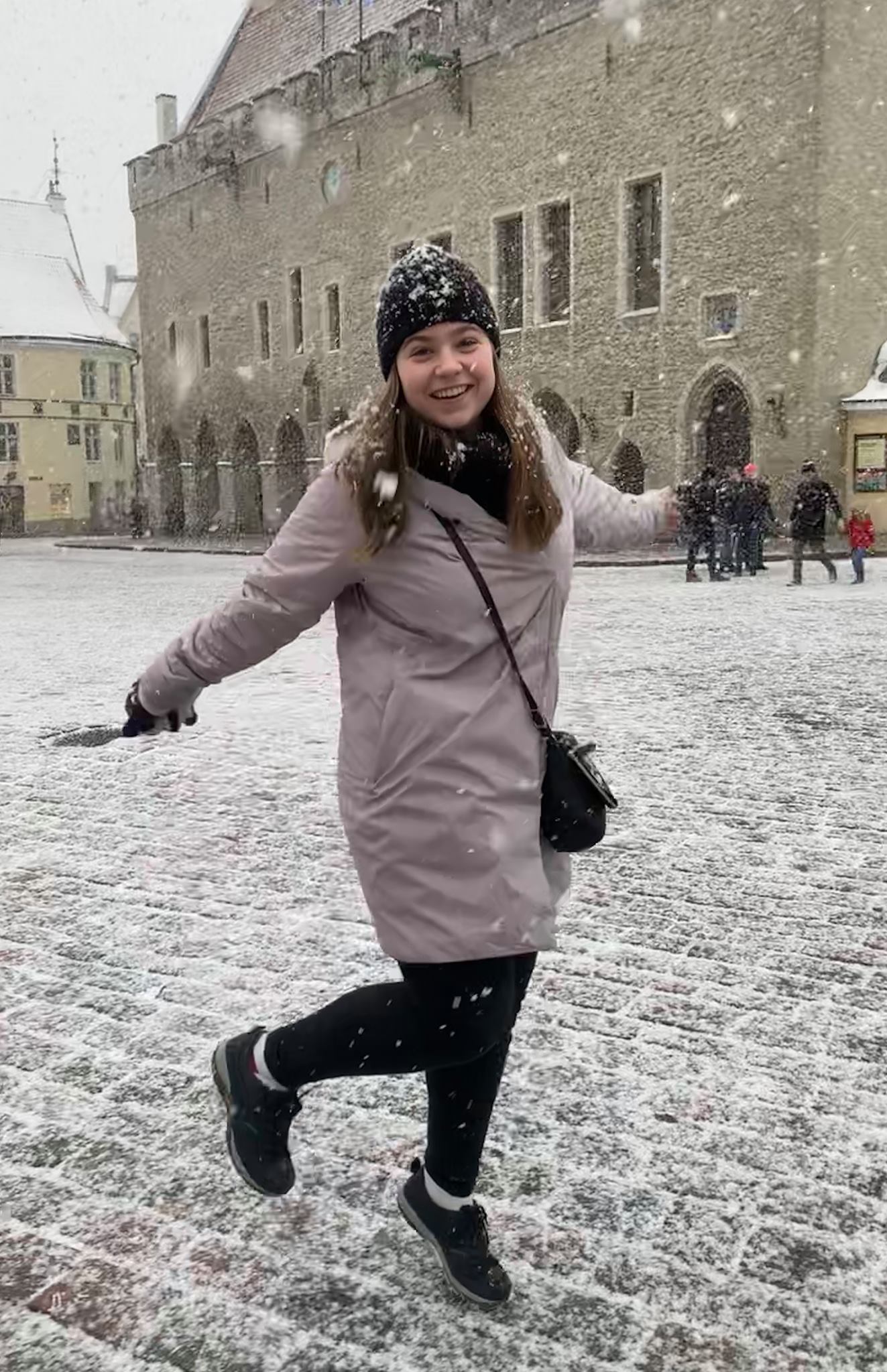 snowytallinestonia