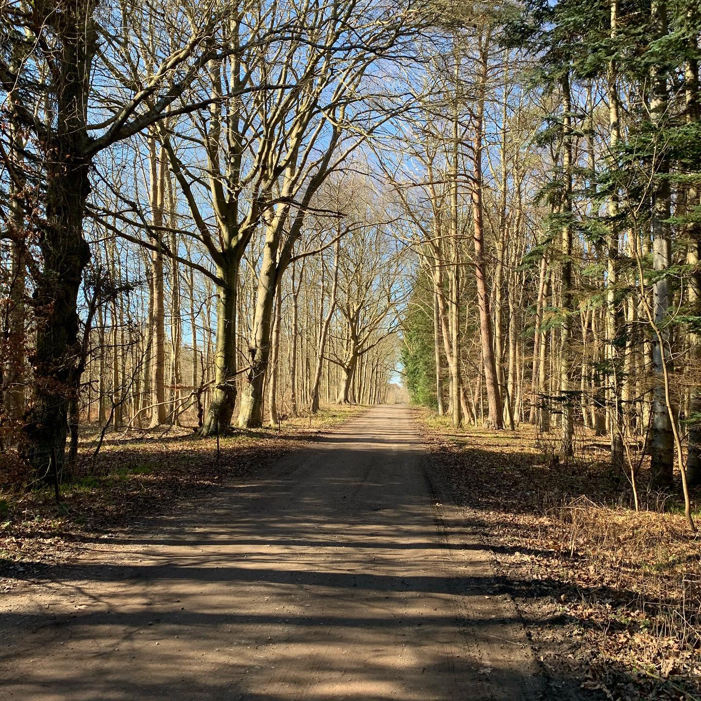 vordingborgnaturehike