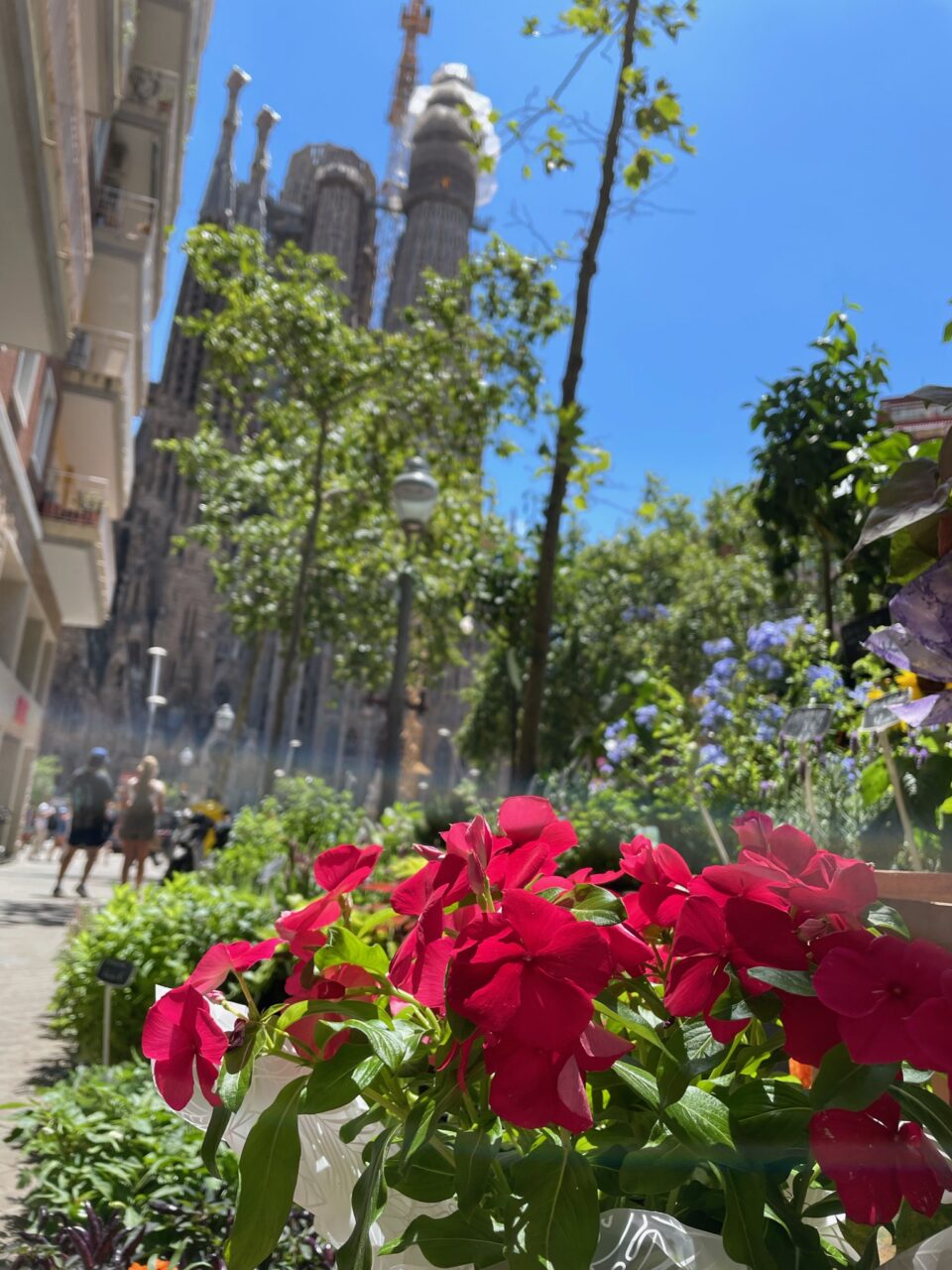 Spain