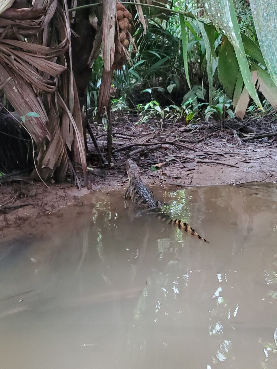 Costa Rica