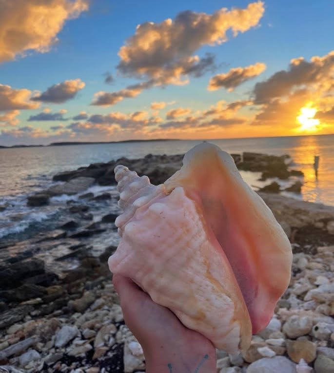 Turks & Caicos