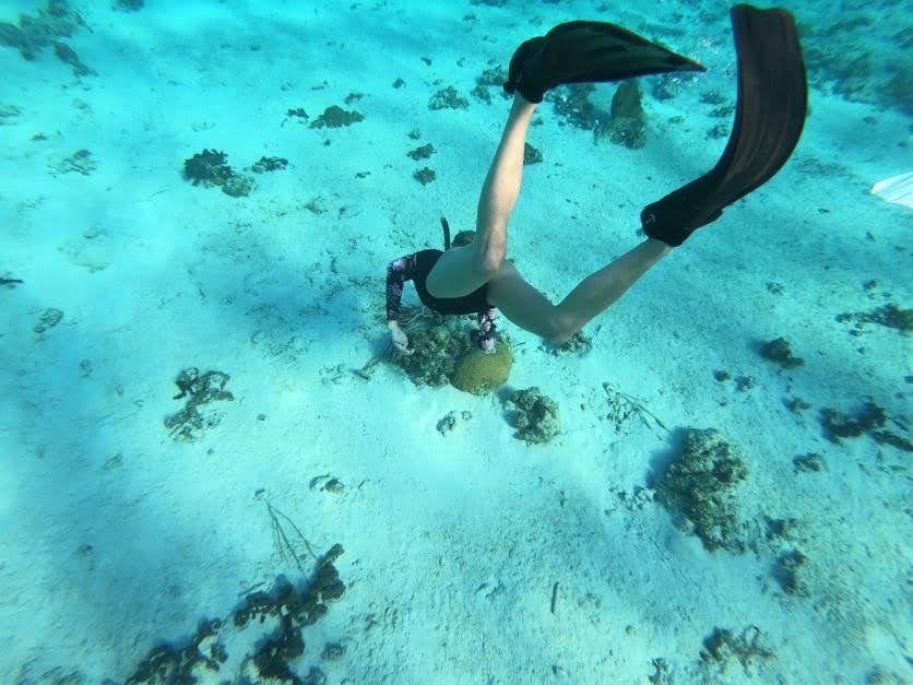Turks $ Caicos