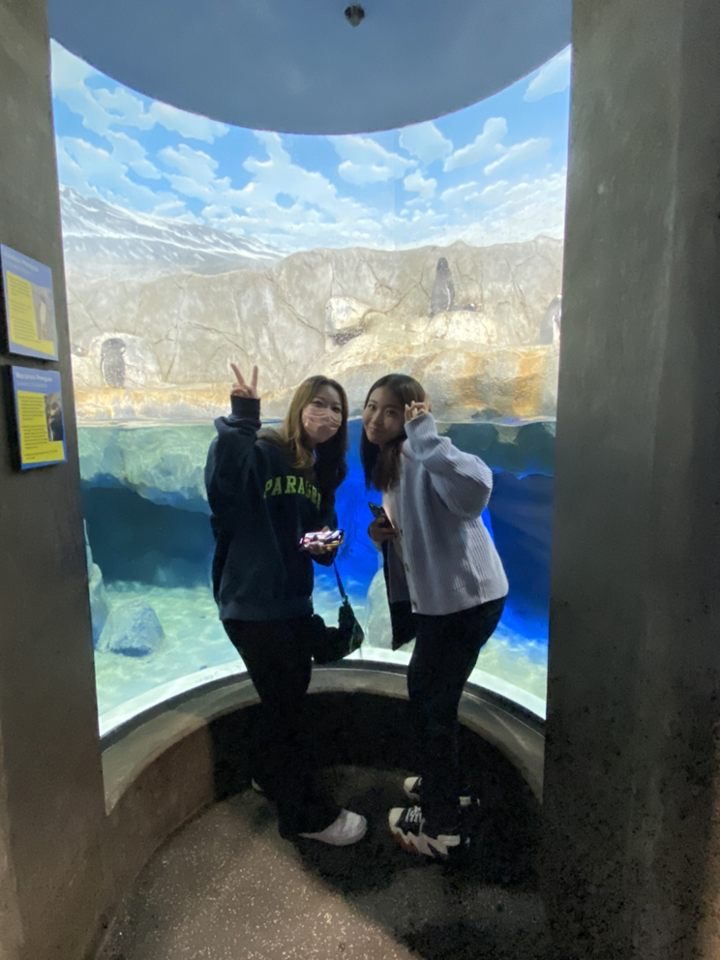 Two students pose in front of the penguin enclosure.