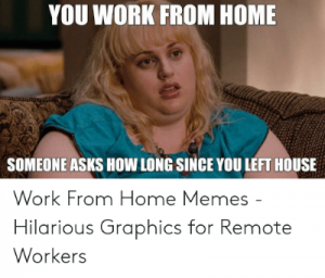 Rebel Wilson work from home meme