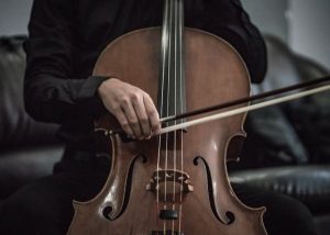 brown cello