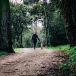 man walking his dog in the woods