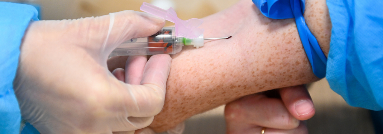 phlebotomist drawing blood