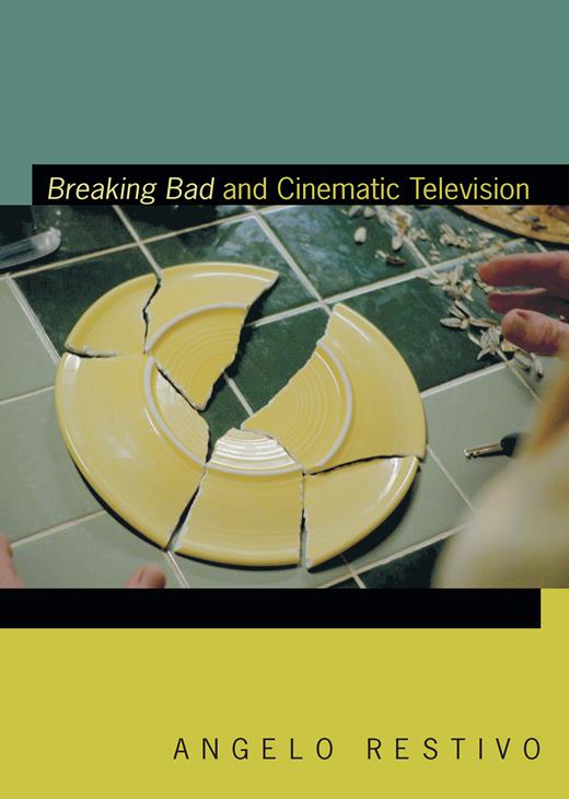breaking bad cinematic television book cover