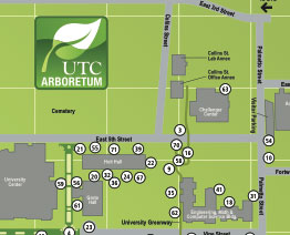 Click to view a map of UTC's arboretum.