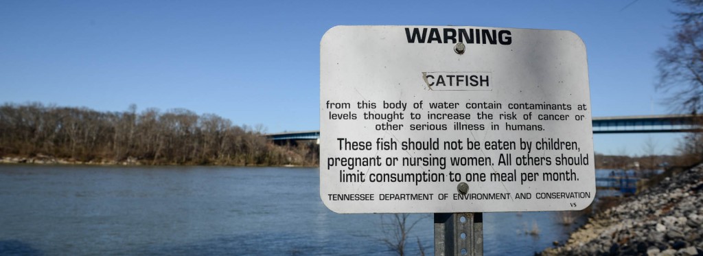 tennessee-river-12