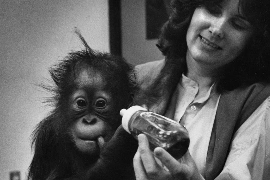 Baby Chantek and Dr. Lyn Miles