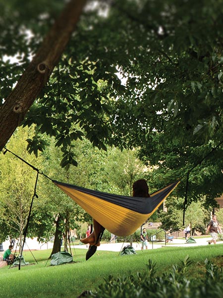Student in Hammock