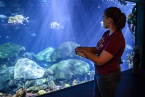 biology-2014-tn-aquarium-41