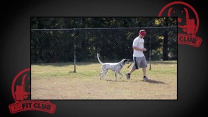 David Levine on Dog TV