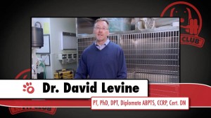 David Levine on Dog TV