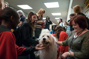 therapy-dogs-2014-04