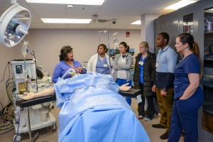 Anesthesia Workshop