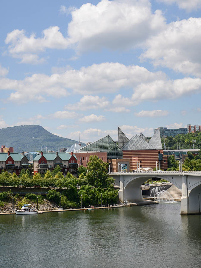 Chattanooga Skyline with Aquarium