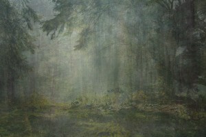 Amy Elkins' painting, "Nine Years Out of a Death Row Sentence: Forest"