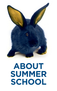 Rabbit with About Summer School