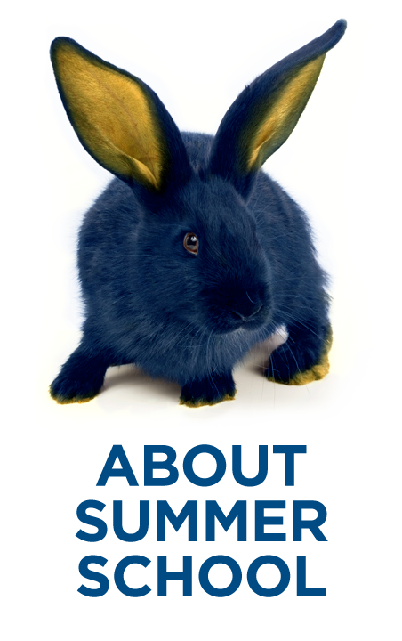 Rabbit with About Summer School