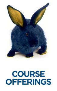 Rabbit with Course Offerings