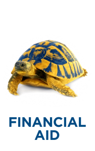 Turtle with financial aid