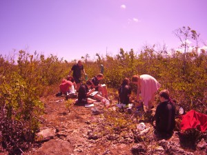 Recording data at Oyster Pond
