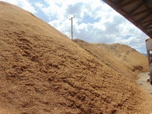 rice husks tanzania