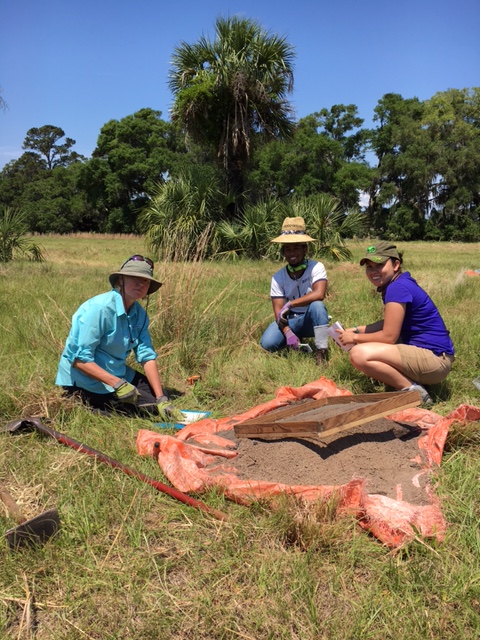 Field school screening