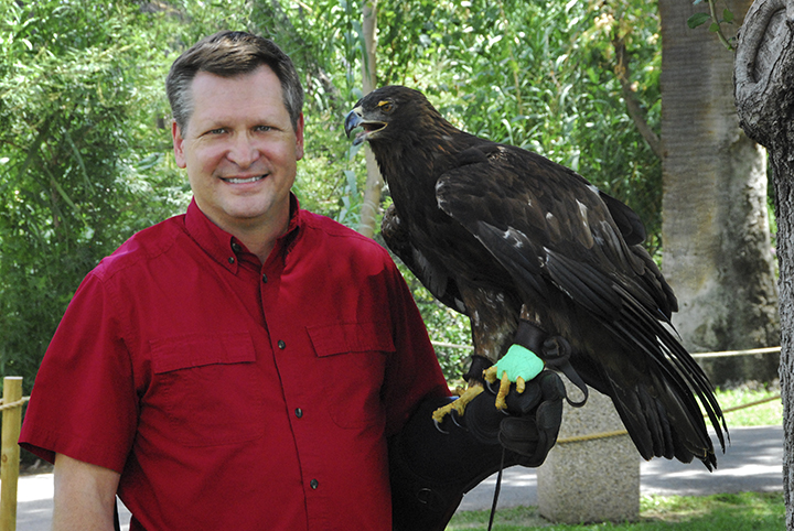 Steve Marshall posing with a golden eagle named Takota.
